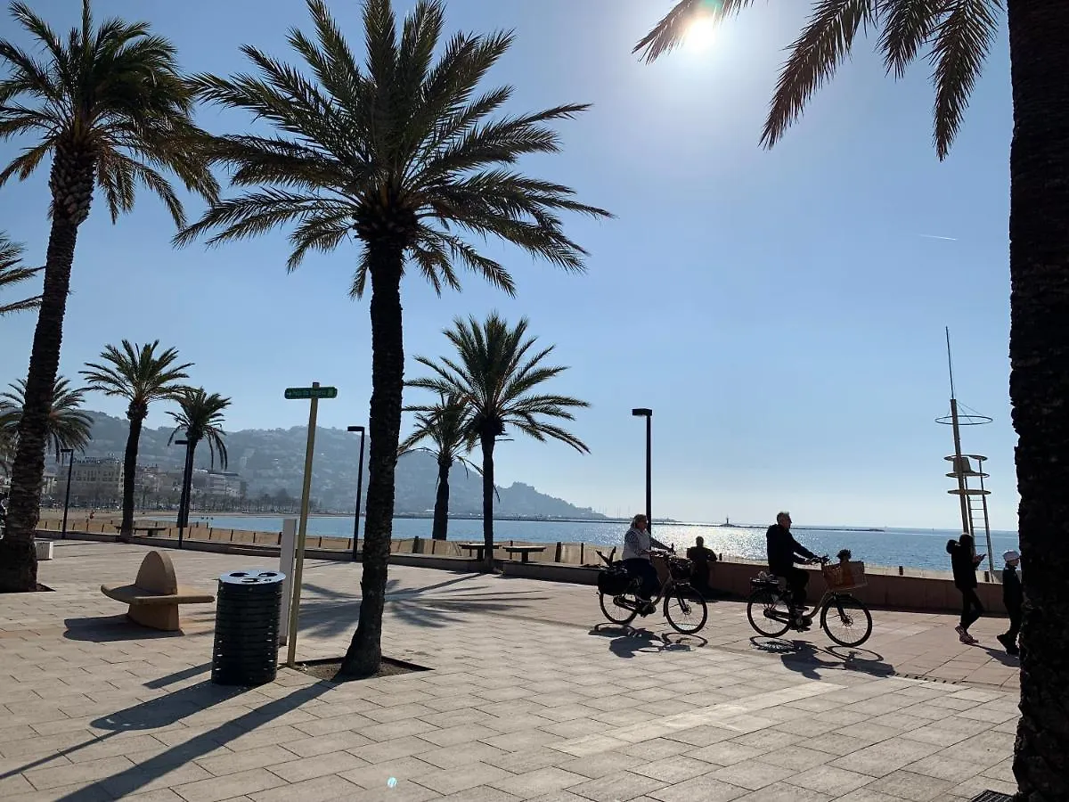 Apartment Acogedor Apartamento En Roses - 50M Playa - Wifi - Aire Acondicionado Spain