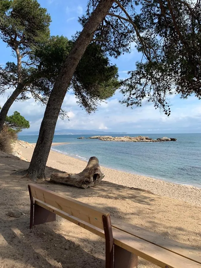 Acogedor Apartamento En Roses - 50M Playa - Wifi - Aire Acondicionado Spain